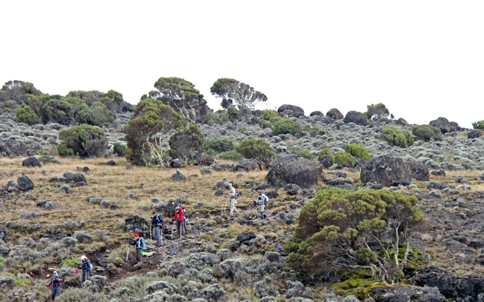 Kilimanjaro4